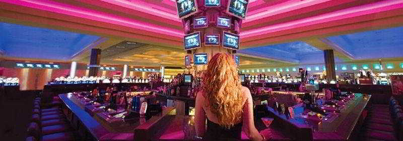 Seminole Hard Rock Hotel And Casino Tampa Ngoại thất bức ảnh